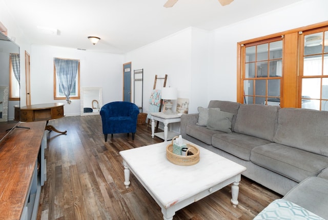 living room featuring a healthy amount of sunlight, ceiling fan, and dark wood-type flooring