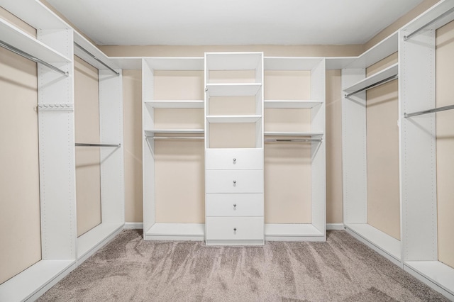 walk in closet with carpet flooring