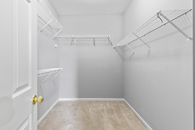 spacious closet with carpet floors