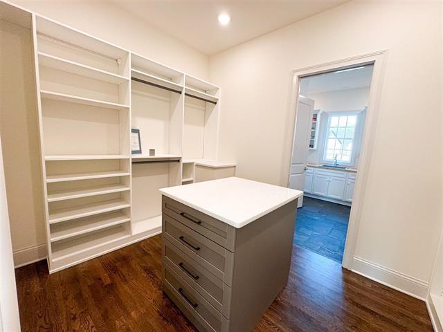 spacious closet with dark hardwood / wood-style floors and sink