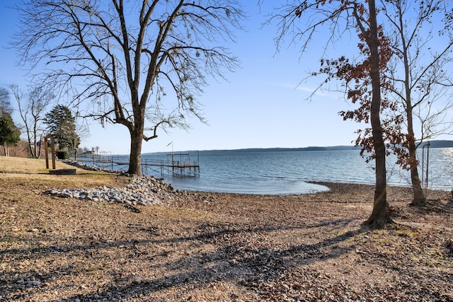 property view of water featuring a boat dock