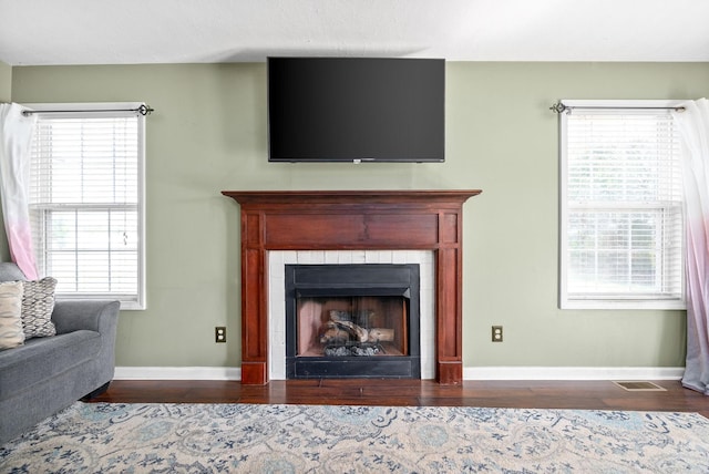 living room featuring a fireplace, wood-type flooring, and plenty of natural light