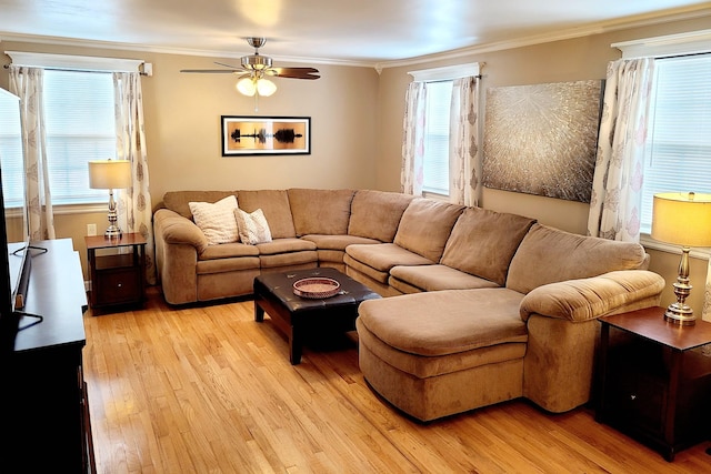 living room with a healthy amount of sunlight, light hardwood / wood-style flooring, ceiling fan, and ornamental molding