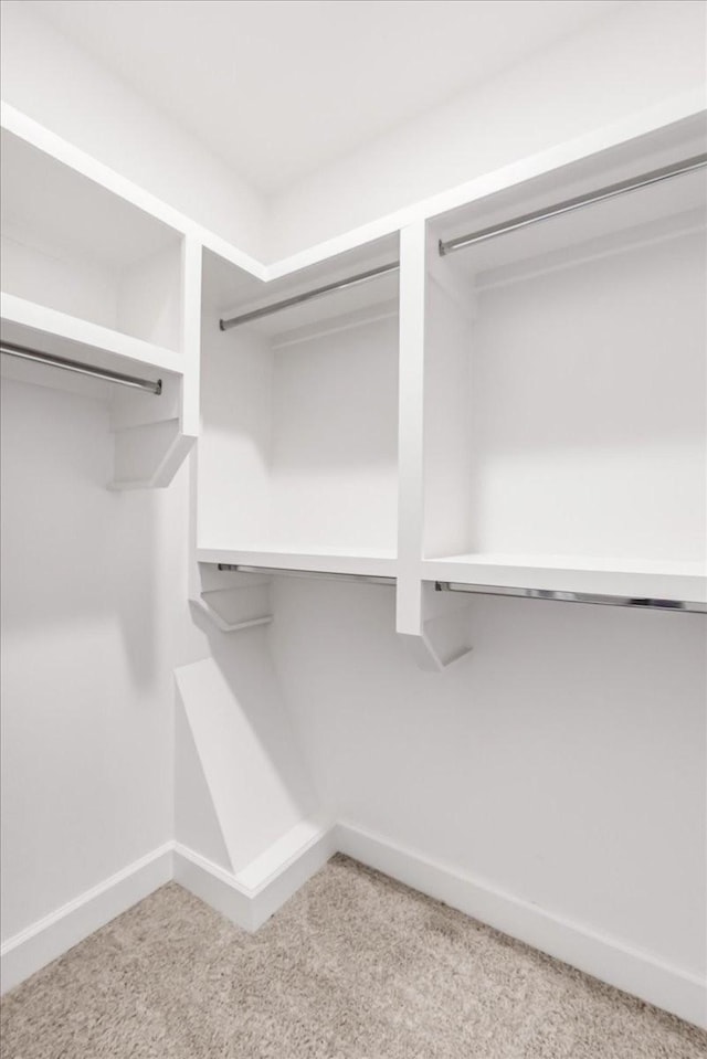 spacious closet with light colored carpet