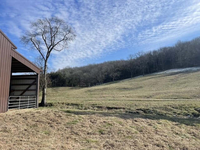 view of yard featuring an outdoor structure