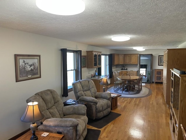 living room with wood-type flooring and a textured ceiling