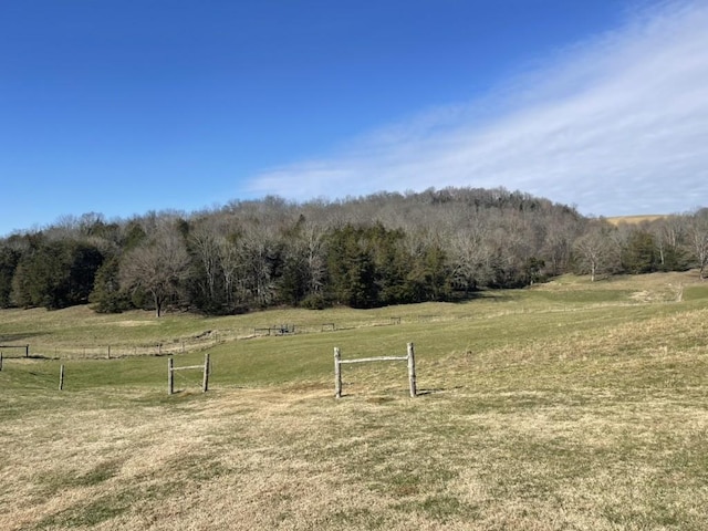 view of yard featuring a rural view