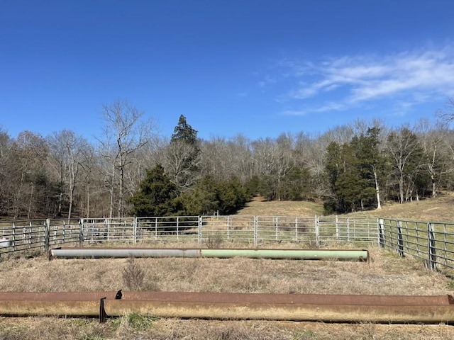 view of yard featuring a rural view