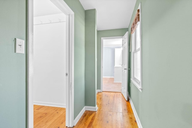 hall with light hardwood / wood-style flooring