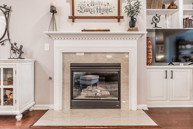 room details featuring a premium fireplace and wood-type flooring