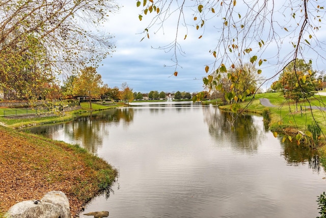 property view of water