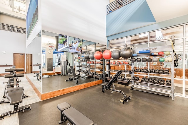 exercise room featuring a high ceiling