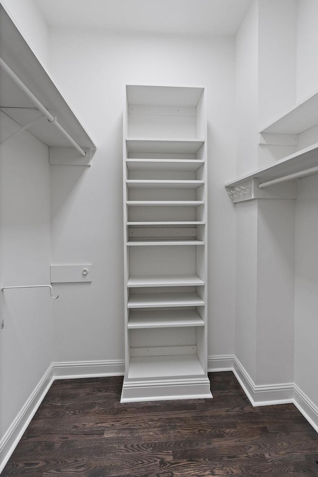 spacious closet featuring dark wood-type flooring