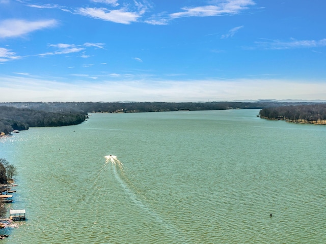 429 Beacon Hill Dr, Mount Juliet, TN 37122 - photo 17