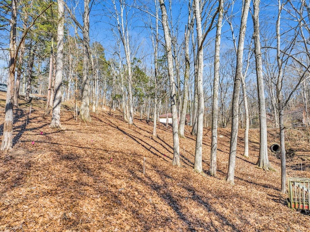 429 Beacon Hill Dr, Mount Juliet, TN 37122 - photo 6
