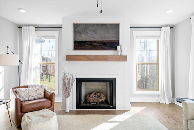 living room featuring light wood-type flooring and plenty of natural light