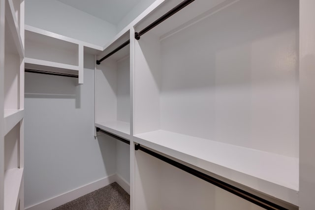 spacious closet with carpet flooring