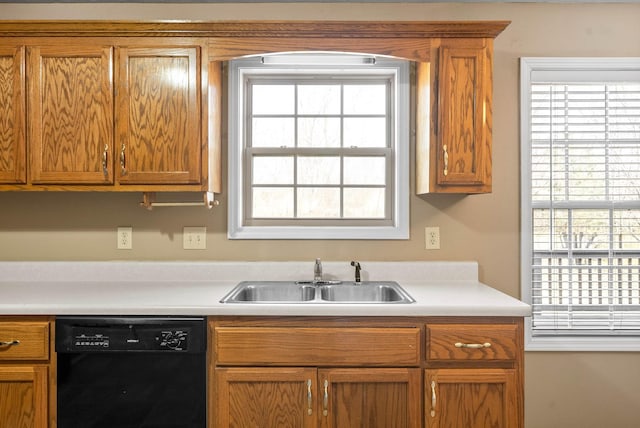 kitchen featuring dishwasher, a wealth of natural light, and sink