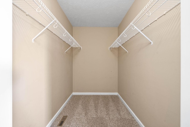 spacious closet featuring carpet flooring