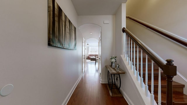 hallway featuring dark hardwood / wood-style floors