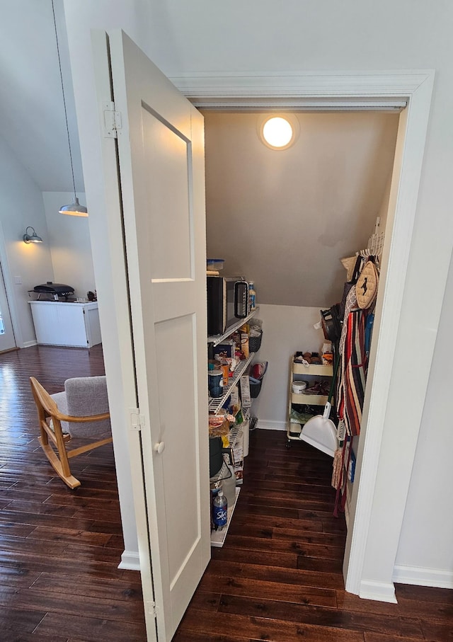 walk in closet with dark wood-type flooring