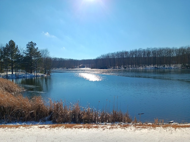 property view of water