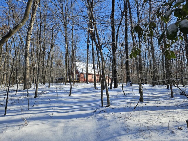 view of yard covered in snow