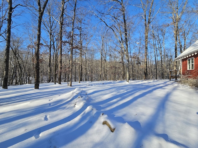 view of yard layered in snow