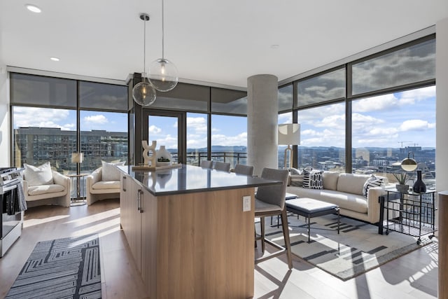 kitchen featuring a wealth of natural light, expansive windows, and stainless steel range oven