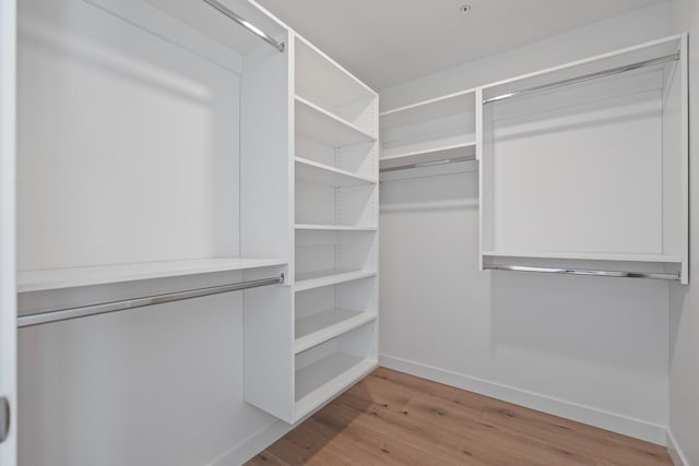 spacious closet featuring light hardwood / wood-style flooring