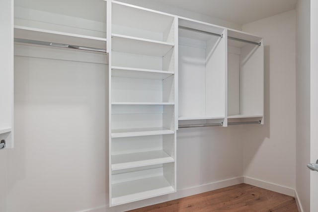 spacious closet with wood-type flooring