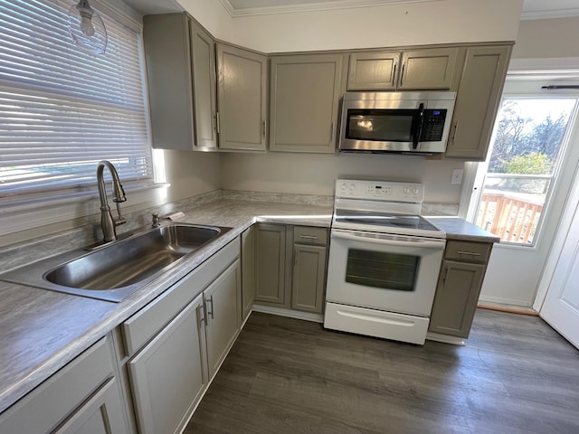 kitchen with gray cabinetry, white electric range oven, ornamental molding, and sink