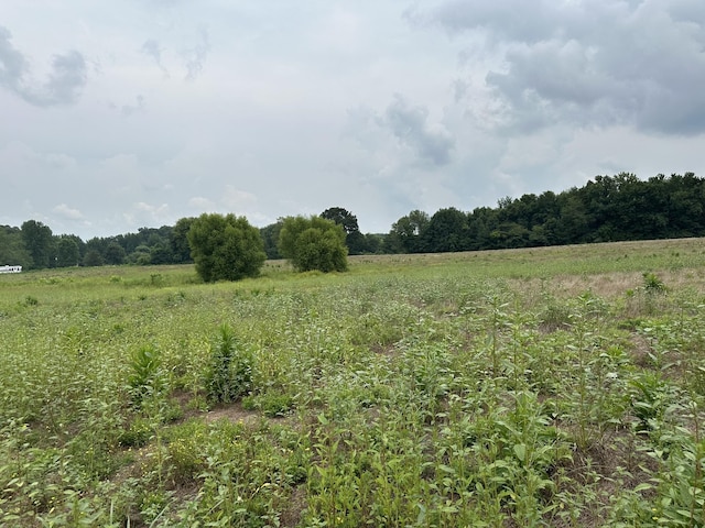 0 Clarksville Pike, Joelton TN, 37080 land for sale