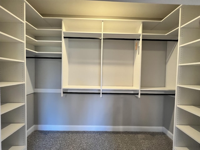 spacious closet with carpet floors