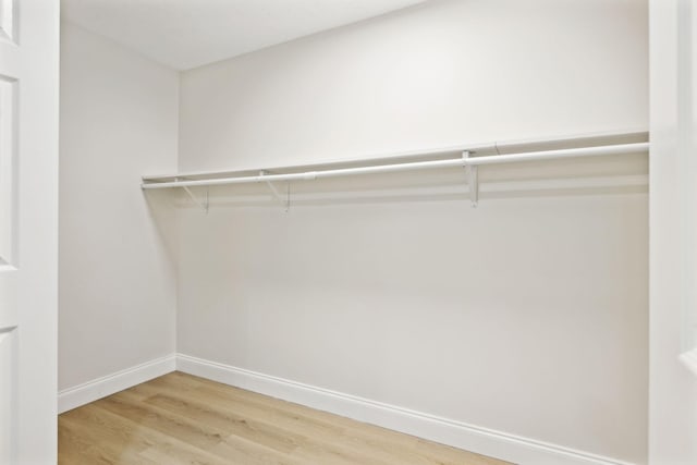 spacious closet featuring wood-type flooring