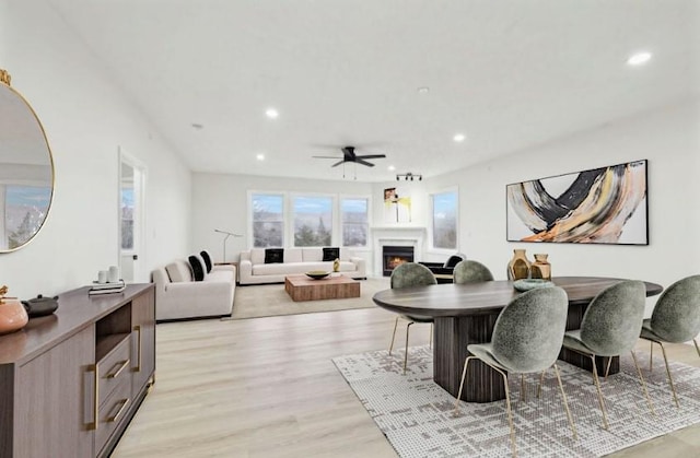 dining space featuring ceiling fan and light hardwood / wood-style flooring