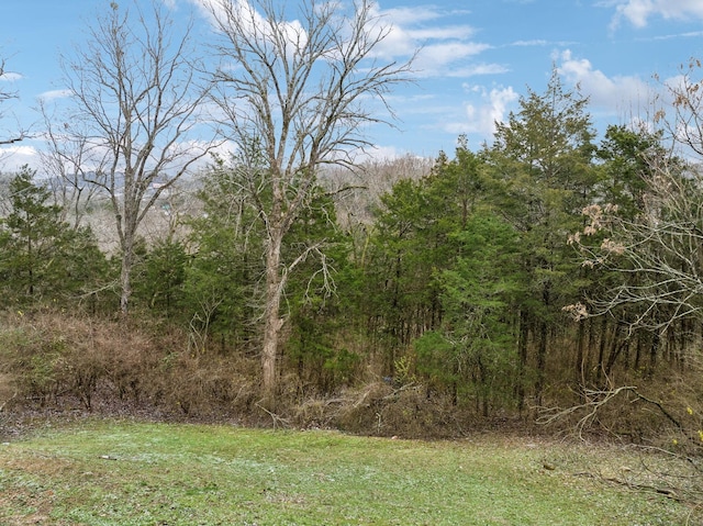 view of local wilderness