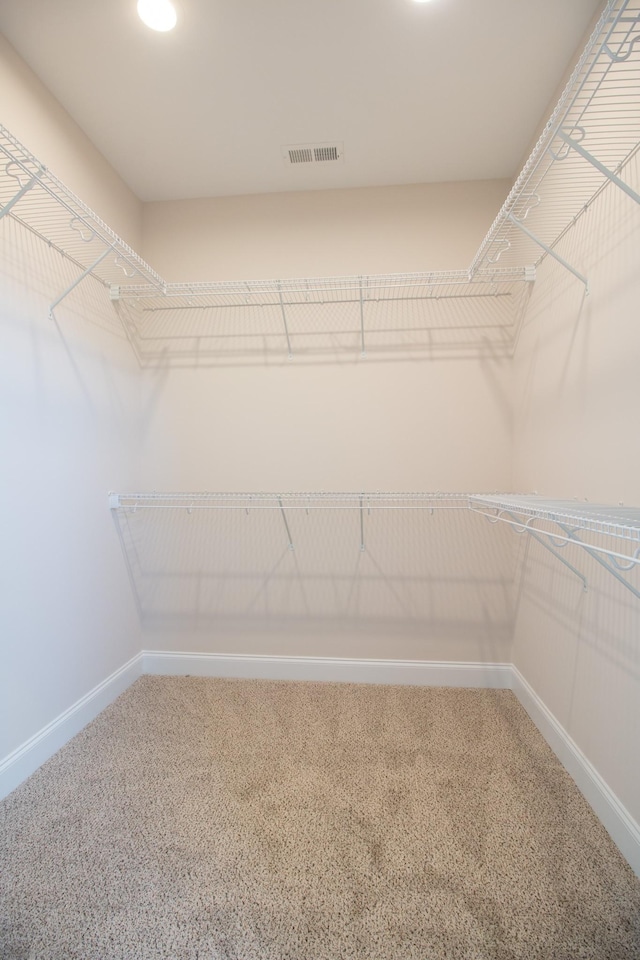 spacious closet featuring carpet