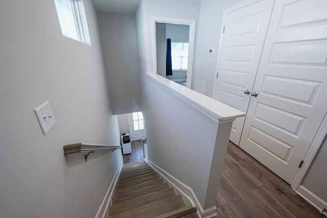 staircase featuring wood-type flooring and a wealth of natural light