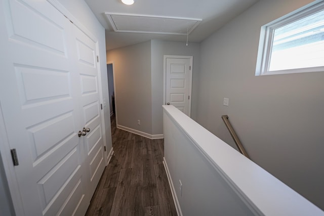 hallway with dark wood-type flooring