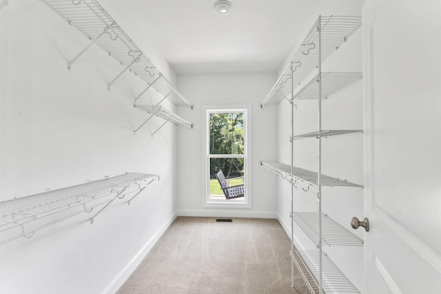 walk in closet featuring carpet floors