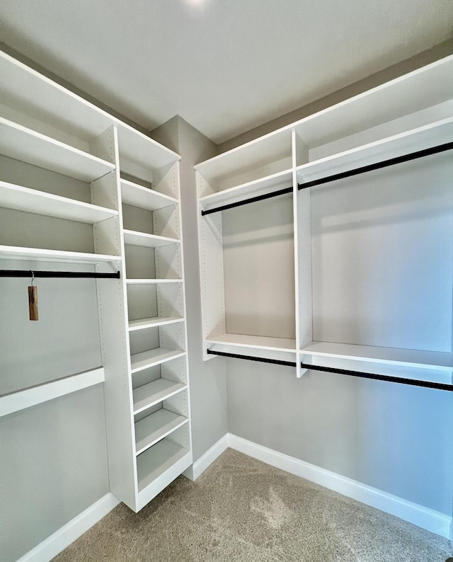 spacious closet featuring carpet floors