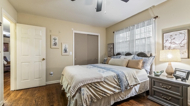 bedroom featuring a closet, dark hardwood / wood-style floors, and ceiling fan