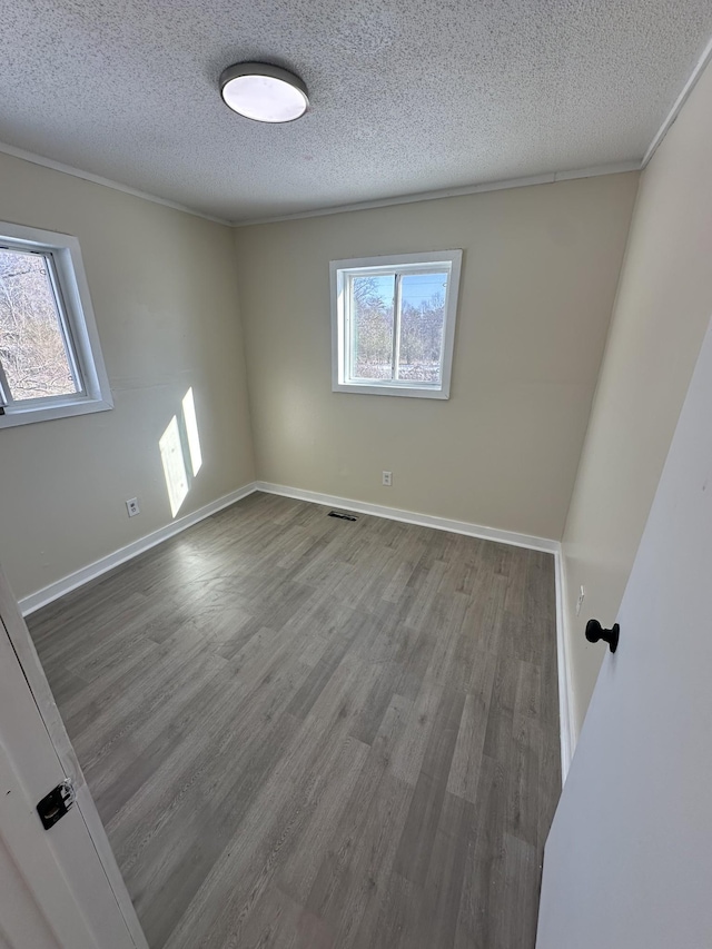 empty room featuring wood-type flooring, a textured ceiling, and a wealth of natural light