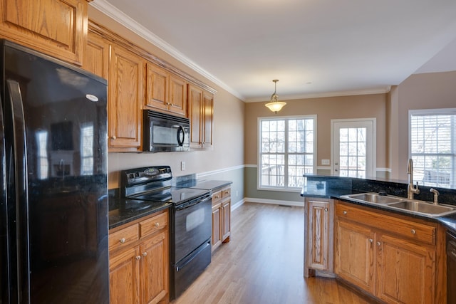 kitchen with pendant lighting, black appliances, sink, light hardwood / wood-style flooring, and ornamental molding