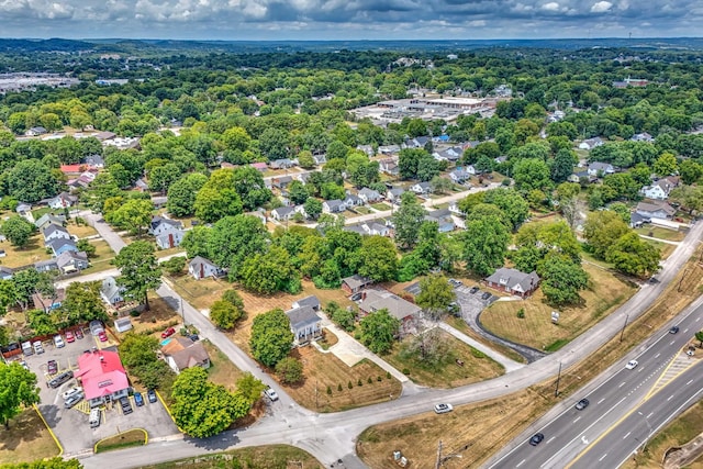 drone / aerial view