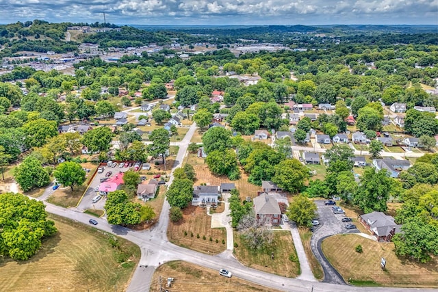 bird's eye view