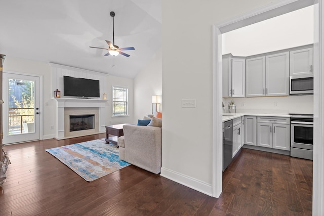 kitchen featuring a fireplace, appliances with stainless steel finishes, plenty of natural light, and ceiling fan