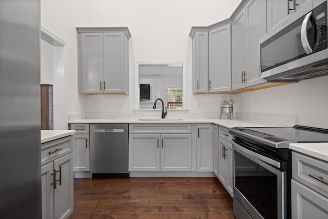 kitchen with gray cabinetry, sink, dark wood-type flooring, and appliances with stainless steel finishes