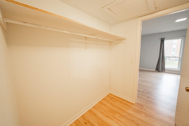 walk in closet with wood-type flooring